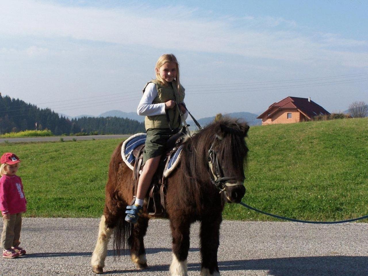 Ferienwohnung Hinterdorfer Unterweissenbach Buitenkant foto