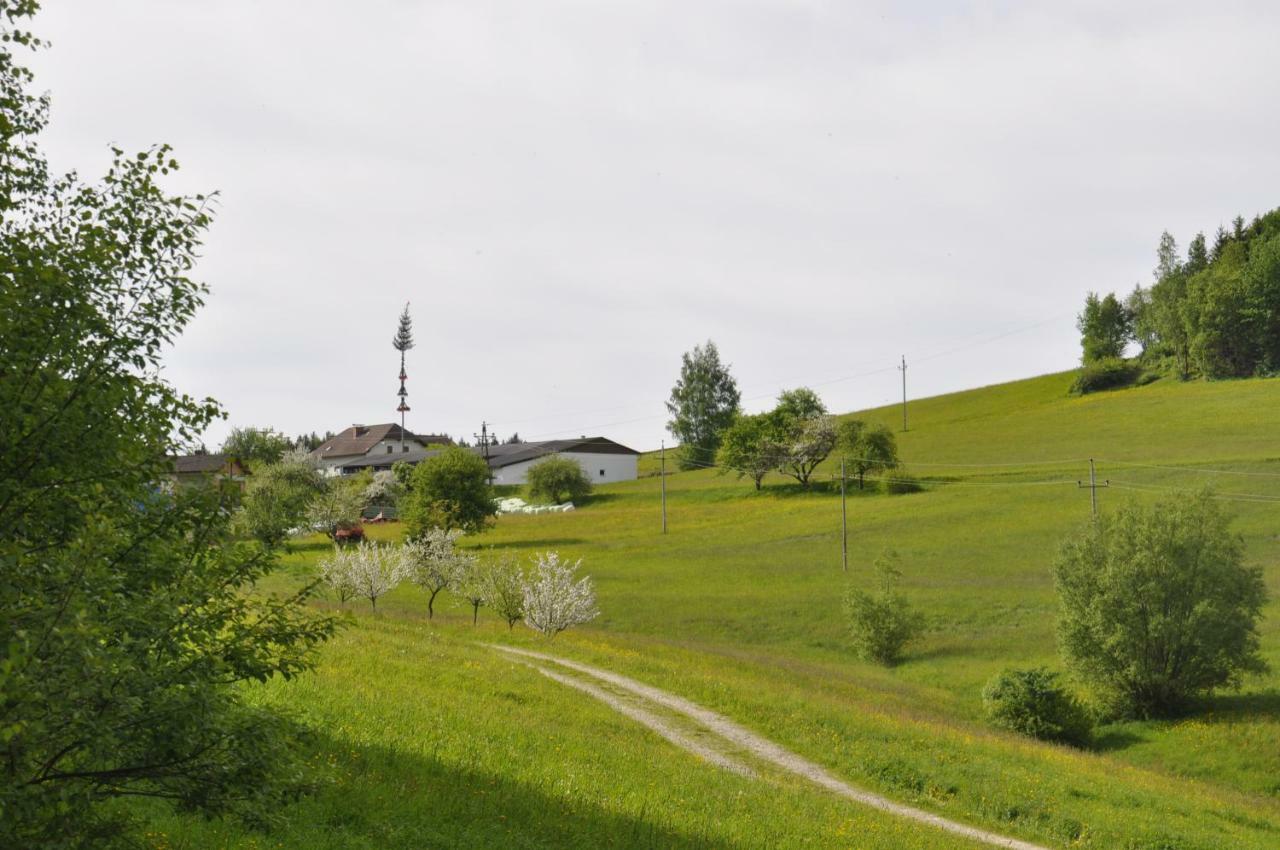 Ferienwohnung Hinterdorfer Unterweissenbach Buitenkant foto